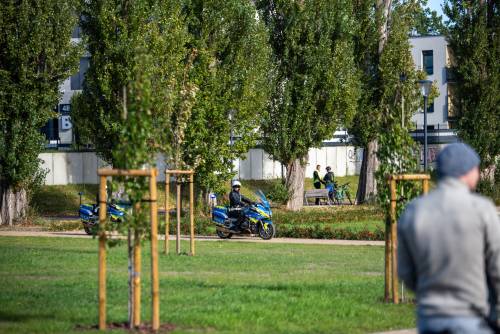 Policjanci na motocyklach w parku.