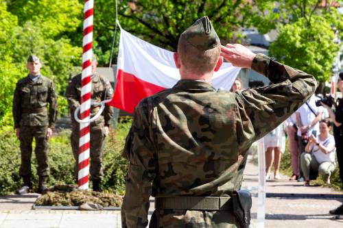 Salutujący żołnierz tyłem. Patrzy w kierunku flagi państwowej.