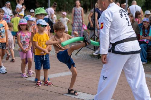 Dzieci podczas animacji. Taekwo-do.