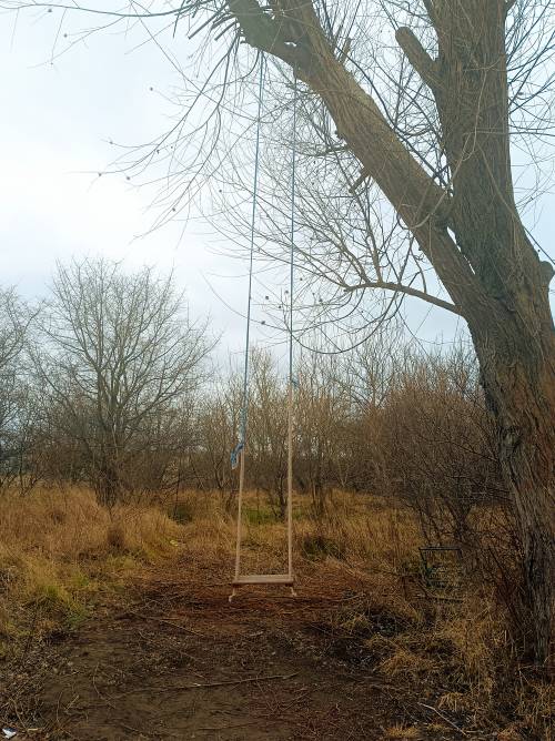 Huśtawka na drzewie,