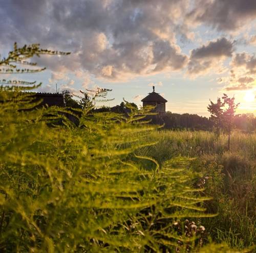 Faktoria Handlowa zza roślin.