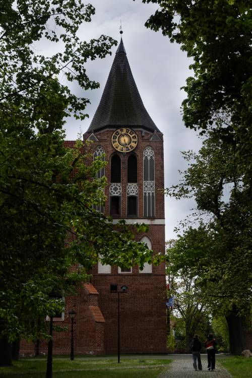 Kościół pw. Podwyższenia Krzyża Świętego między drzewami.