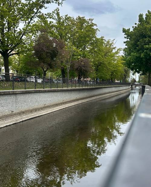 Kanał Raduni pod drzewami.