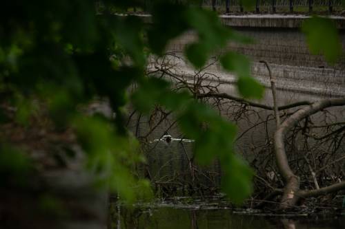 Kanał Raduni zbliżenie.