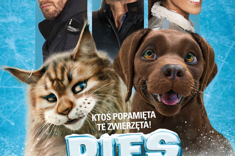 Wydarzenie: Kino: Pies i Kot, Kiedy? 2024-03-09 14:00, Gdzie? ul. Fryderyka Chopina 34 Pruszcz Gdański Polska