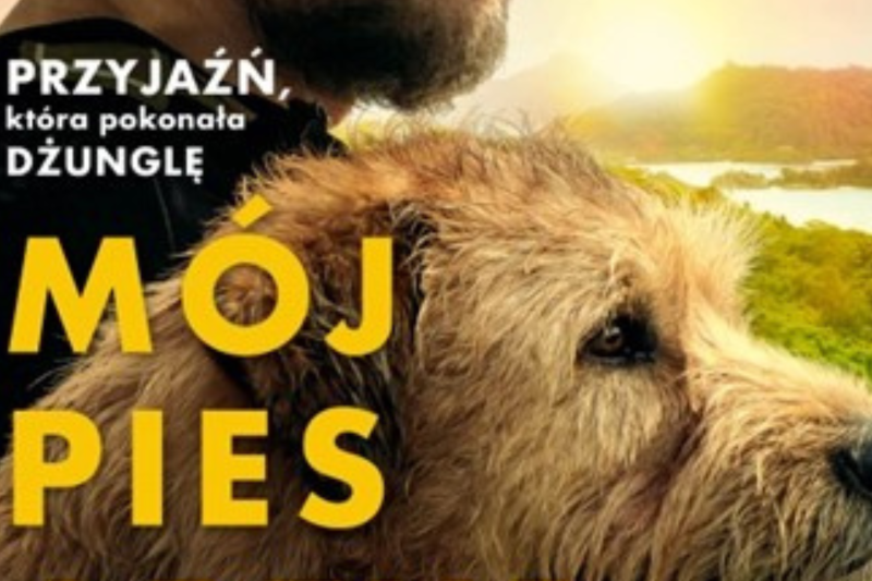 Wydarzenie: Kino: Mój Pies Artur - Napisy, Kiedy? 2024-05-02 18:00, Gdzie? ul. Fryderyka Chopina 34 Pruszcz Gdański Polska