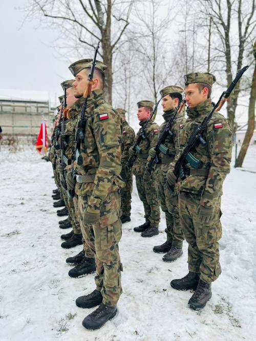Stojący w szeregu polscy żołnierze