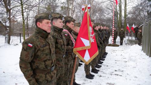 Stojący w szeregu polscy żołnierze