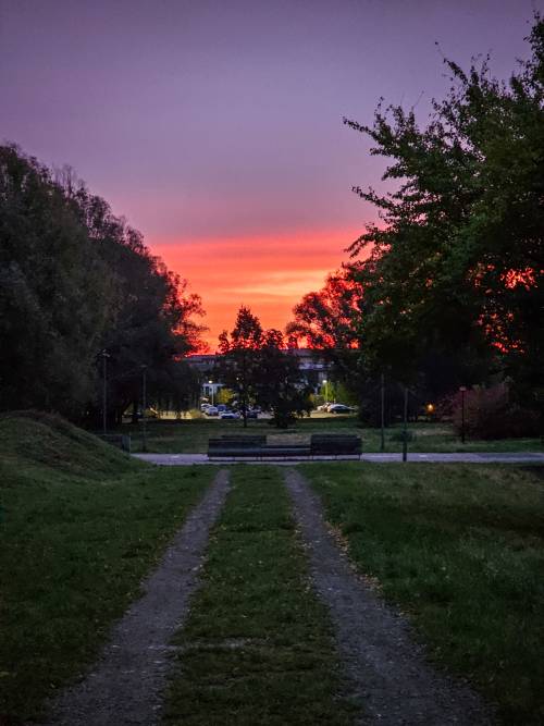 Widok na park o zachodzie słońca