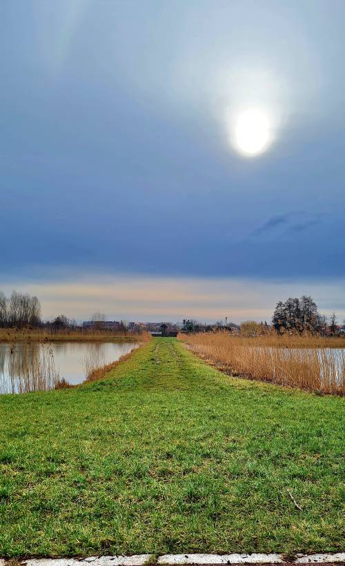 Widok na zieloną drogę i zbiorniki wodne