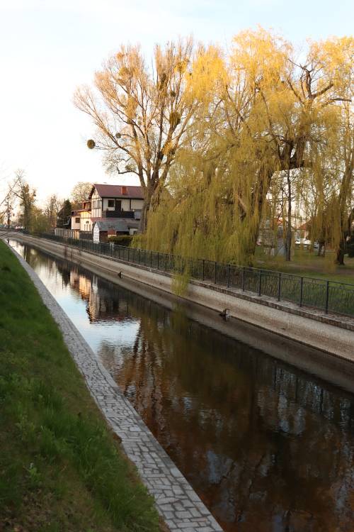 Widok na Kanał Raduni