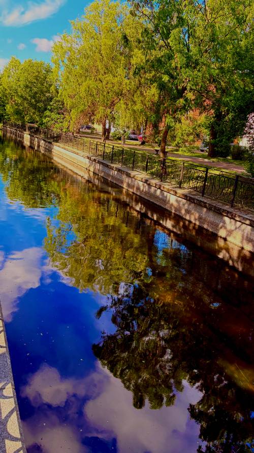 Widok na kanał Raduni i drzewa