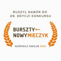Trwa 29. edycja konkursu o Nagrodę Bursztynowego Mieczyka im. Macieja Płażyńskiego
