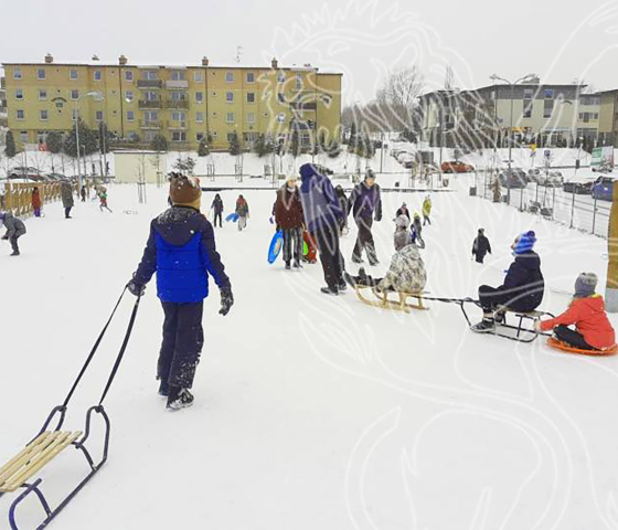 aktualność: Akcja Zima 2023 – ferie w Pruszczu Gdańskim